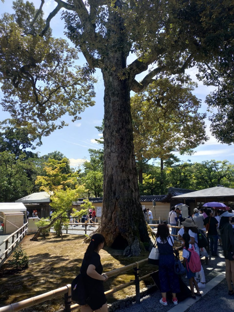IMG-20180818-WA0092.jpg IMG-20180818-WA0092.jpg
