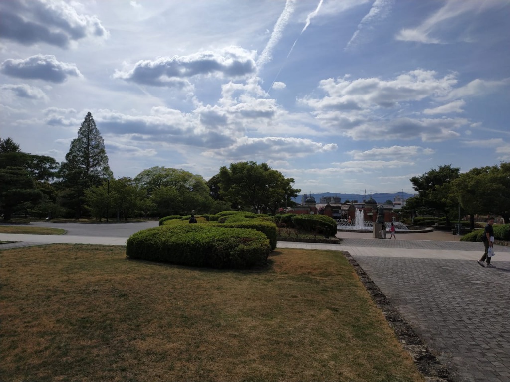 IMG-20180819-WA0141.jpg IMG-20180819-WA0141.jpg