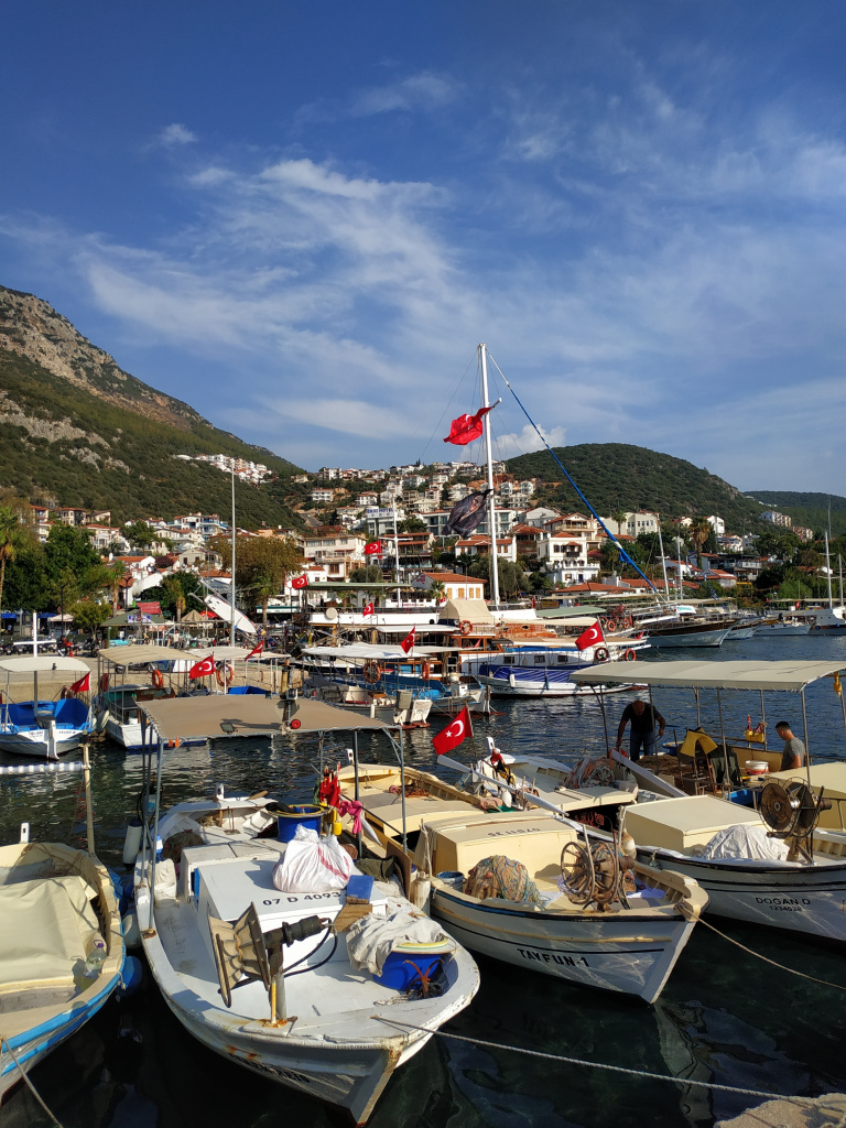 IMG_20241102_145545.jpg