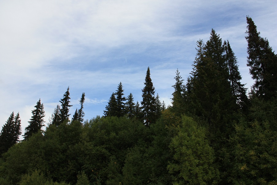 IMG_1546.JPG