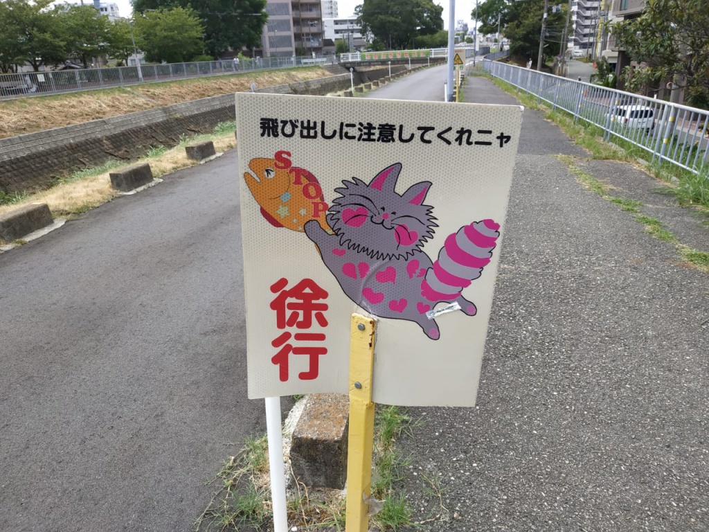 IMG-20180820-WA0213.jpg IMG-20180820-WA0213.jpg