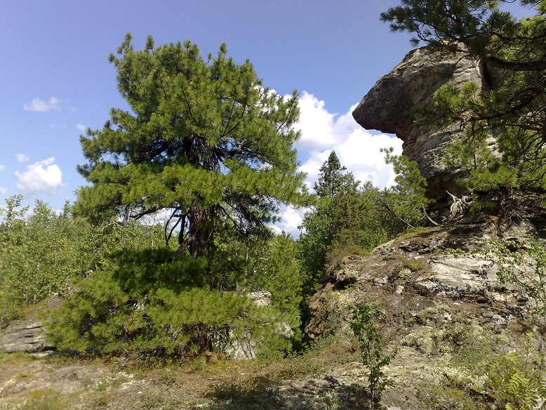 070720134730.jpg