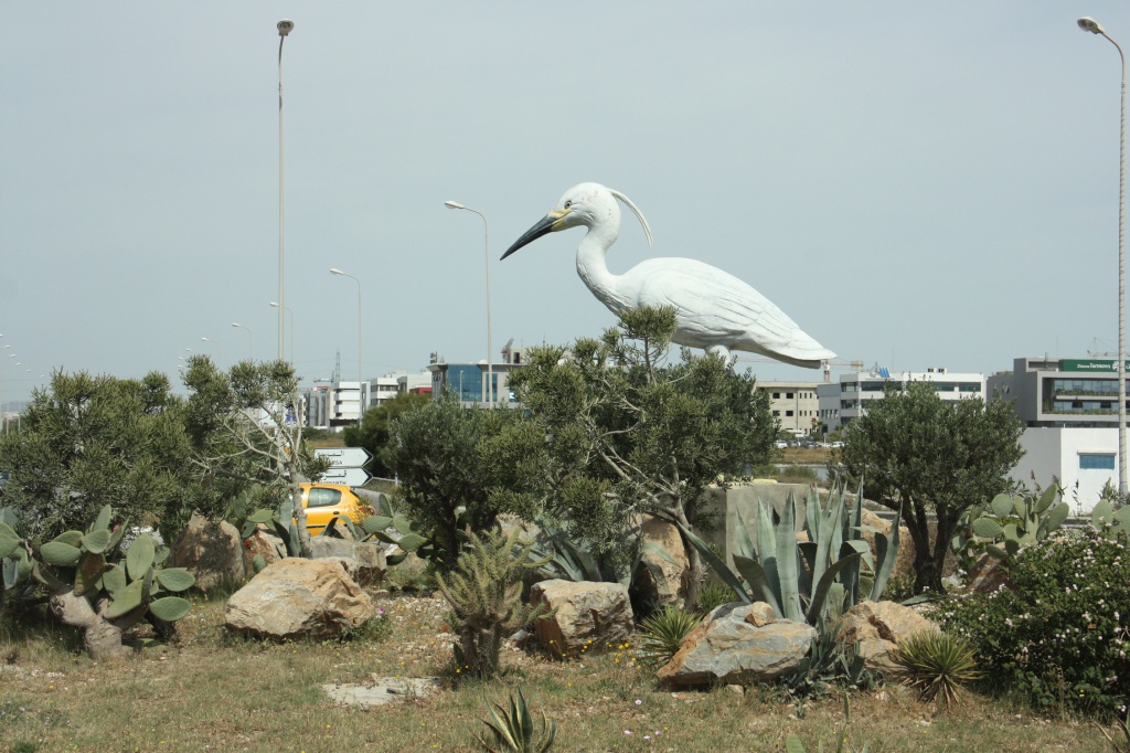 IMG_3464.JPG