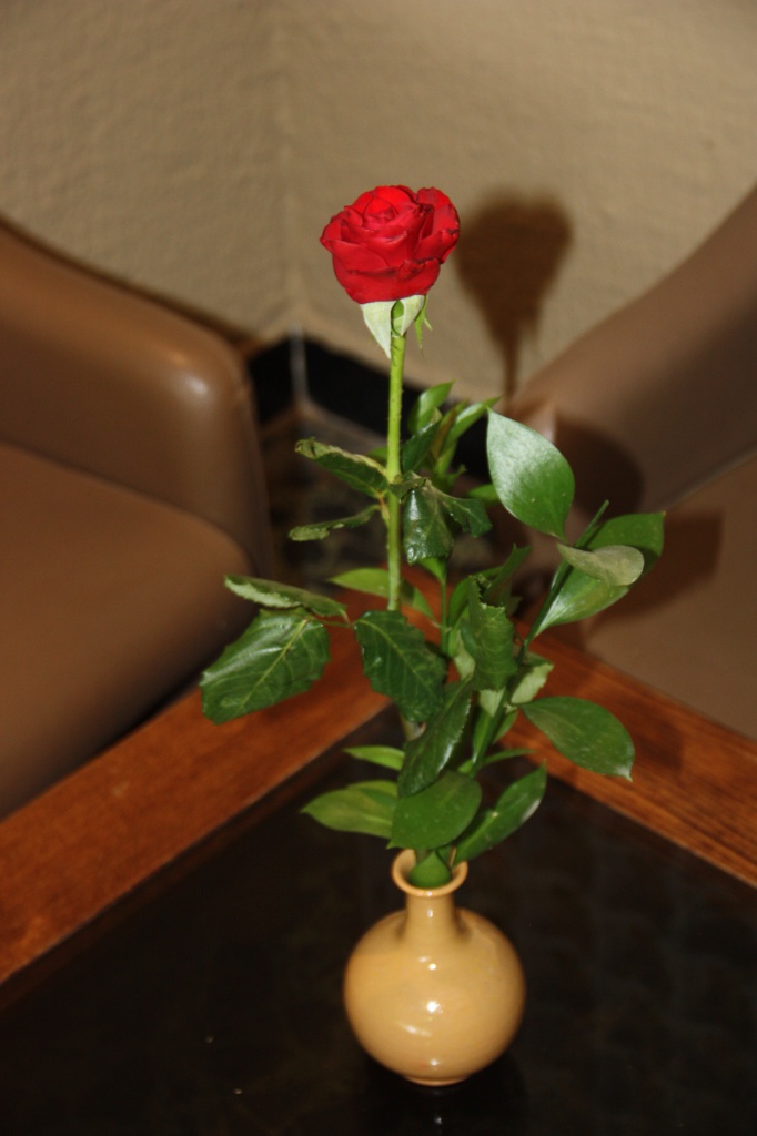 IMG_6063.JPG