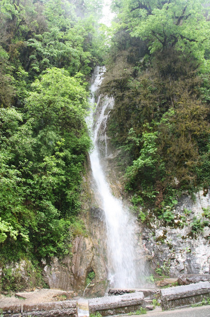 IMG_5772.JPG