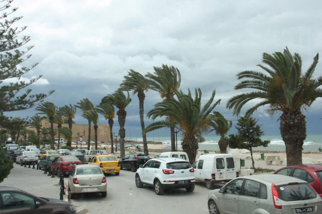 IMG_4446.JPG