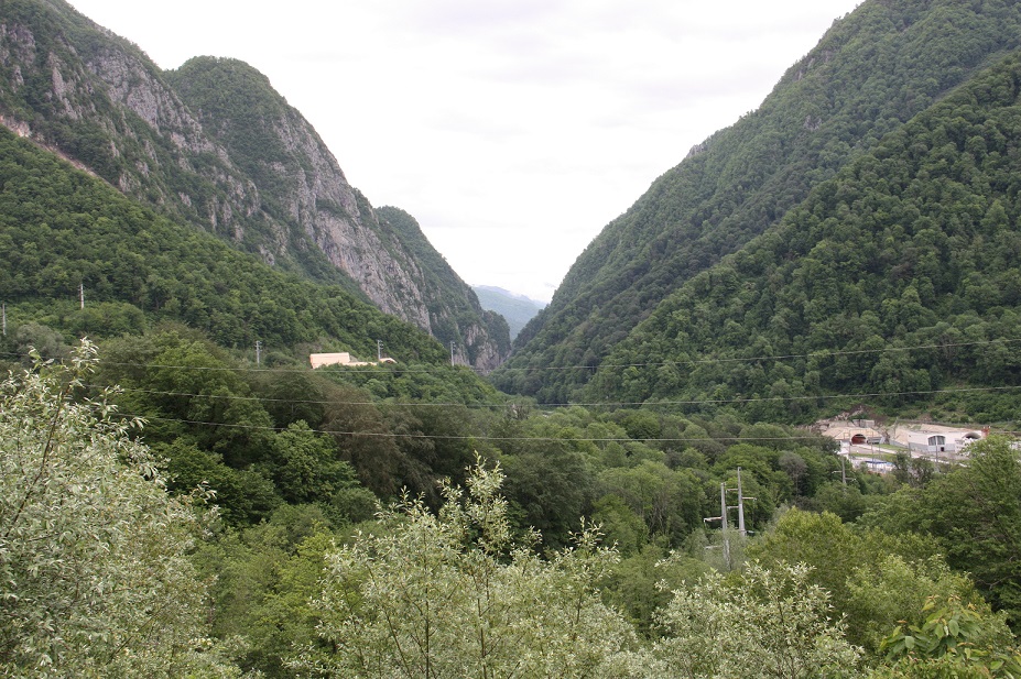 IMG_5260.JPG
