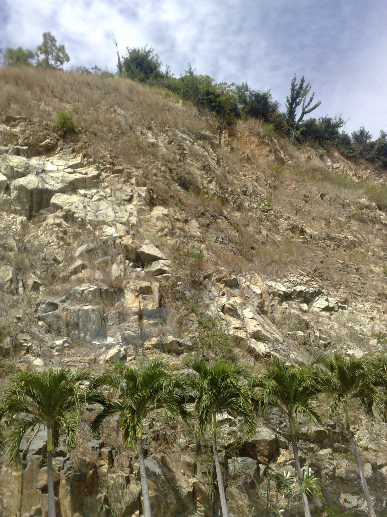 110220123508.jpg