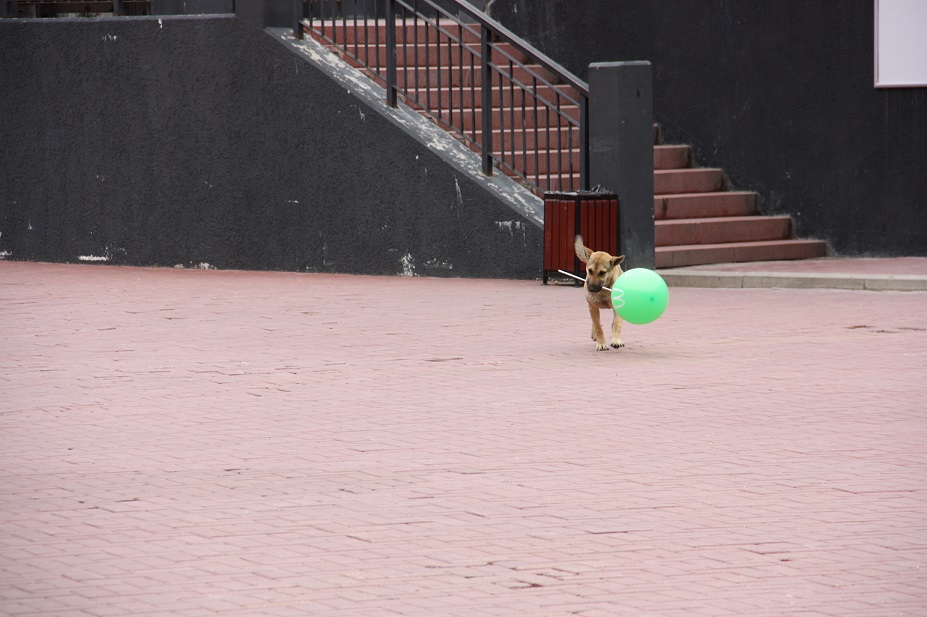 IMG_5435.JPG