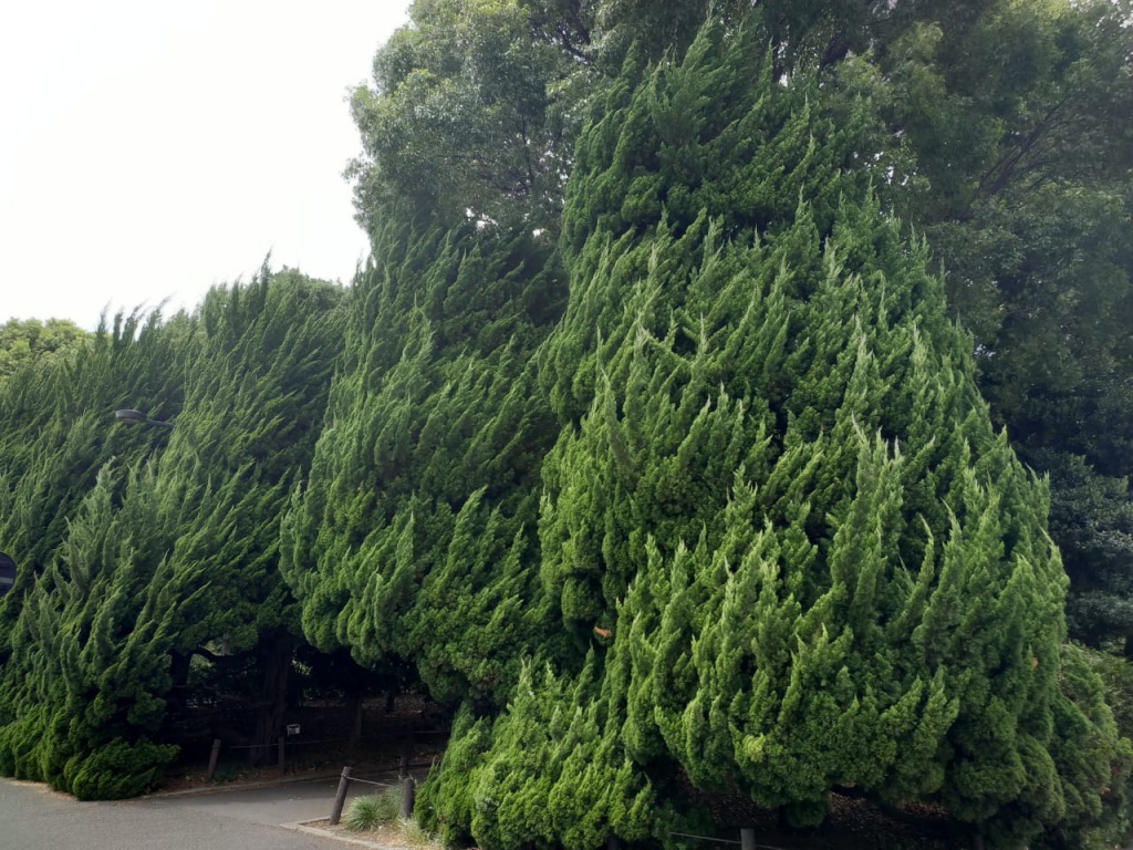 IMG-20180816-WA0054.jpg IMG-20180816-WA0054.jpg