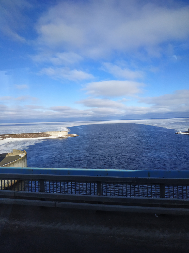IMG_20240308_104951.jpg