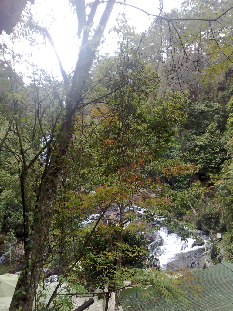 120220123686.jpg