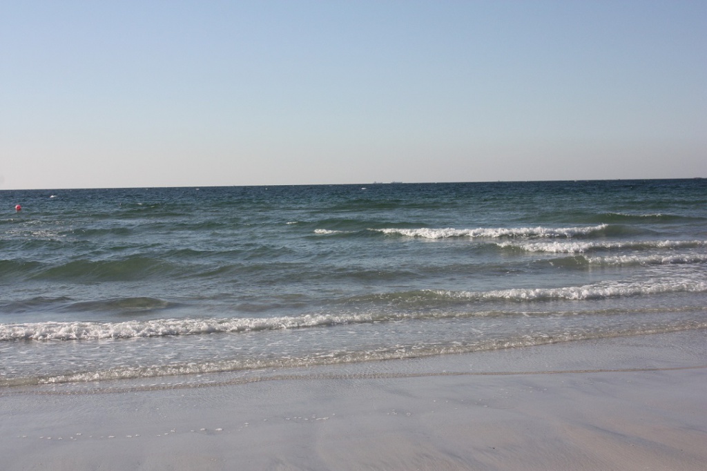 IMG_3734.JPG