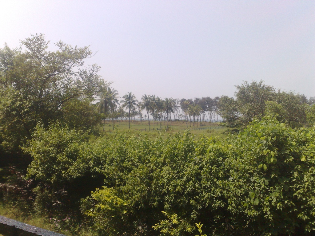 2009-10-24_11-46-18_241020091042.jpg