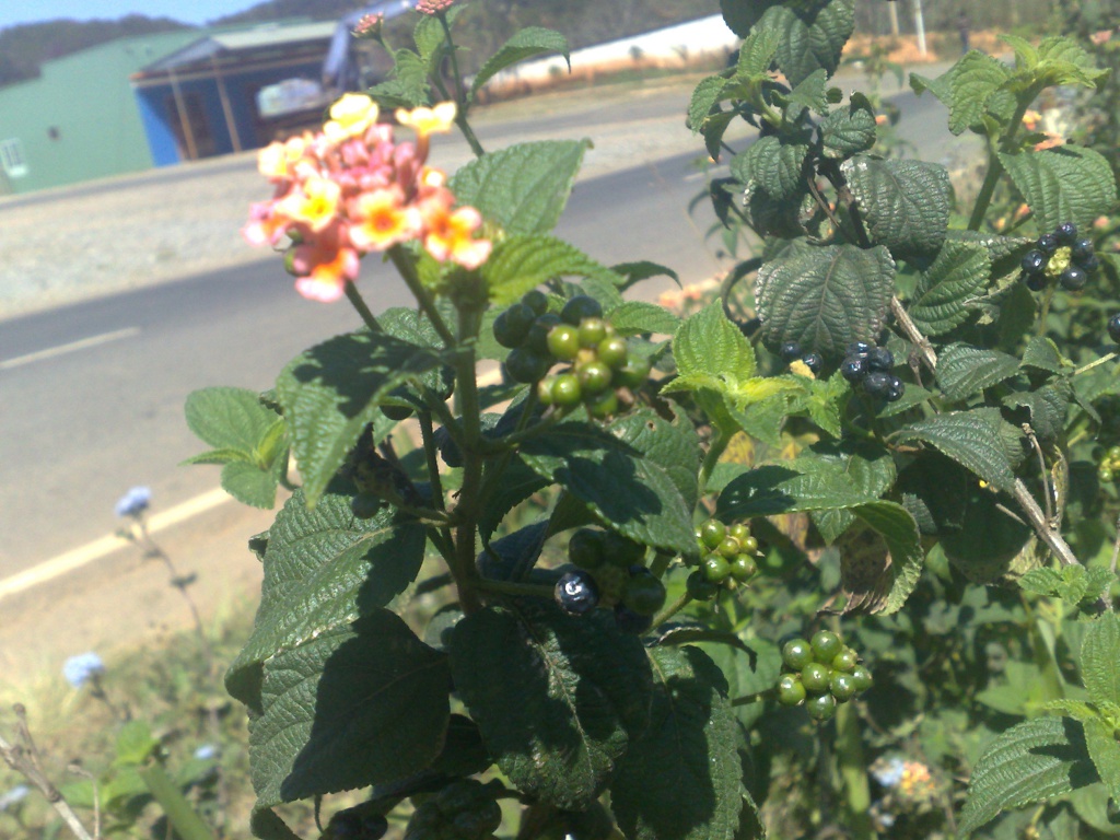 120220123620.jpg
