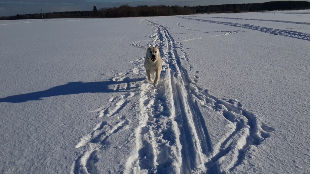 20160206_142836.jpg