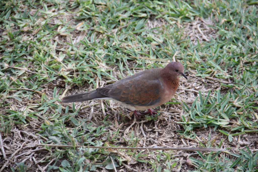 IMG_3363.JPG