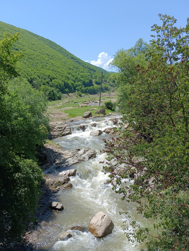 IMG_20230610_122504.jpg