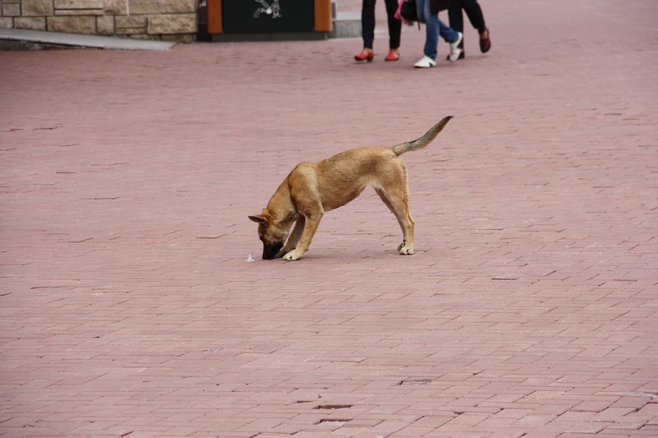 IMG_5439.JPG
