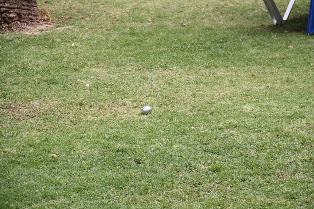 IMG_4353.JPG