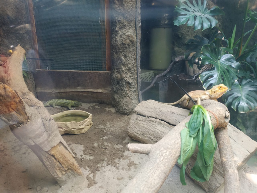 IMG-20180826-WA0088.jpg IMG-20180826-WA0088.jpg