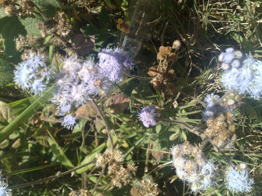 120220123619.jpg