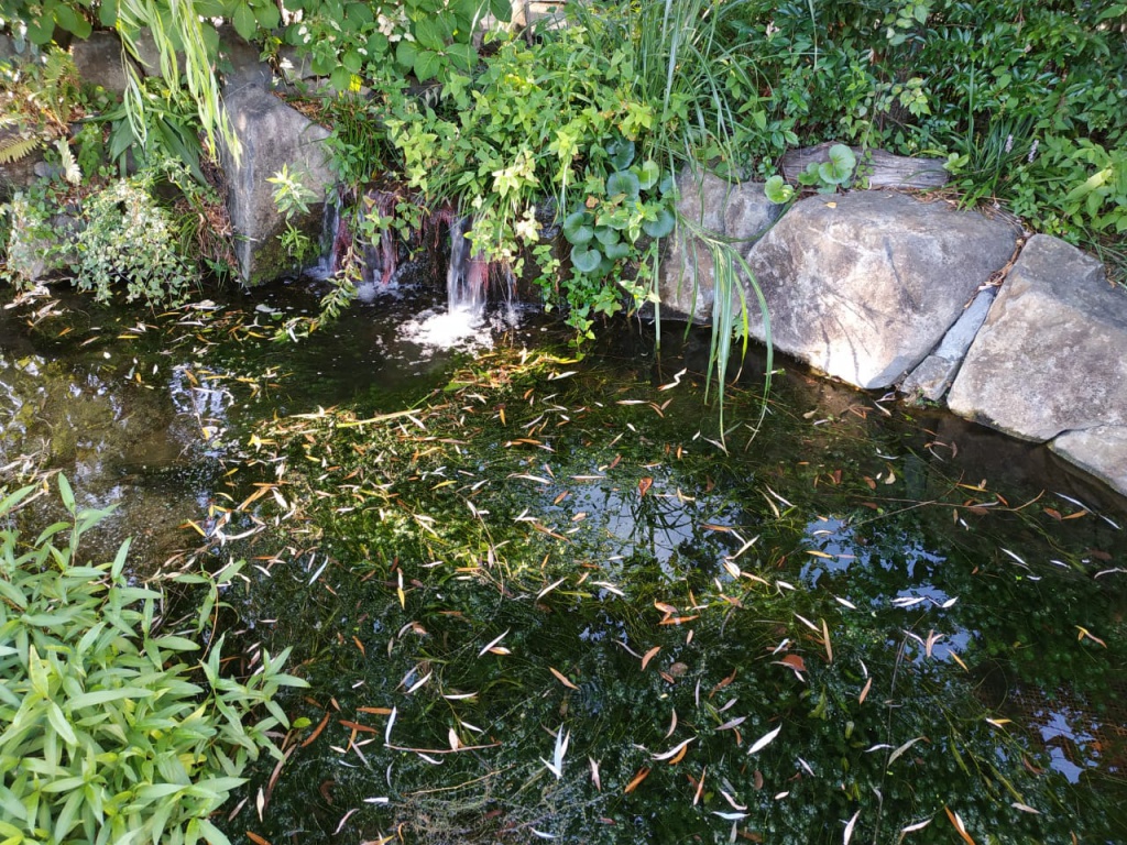 IMG-20180818-WA0029.jpg IMG-20180818-WA0029.jpg
