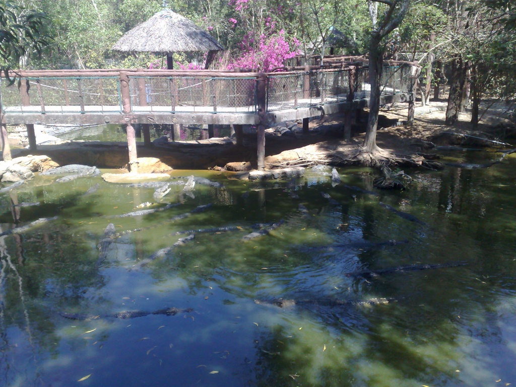 080220123402.jpg