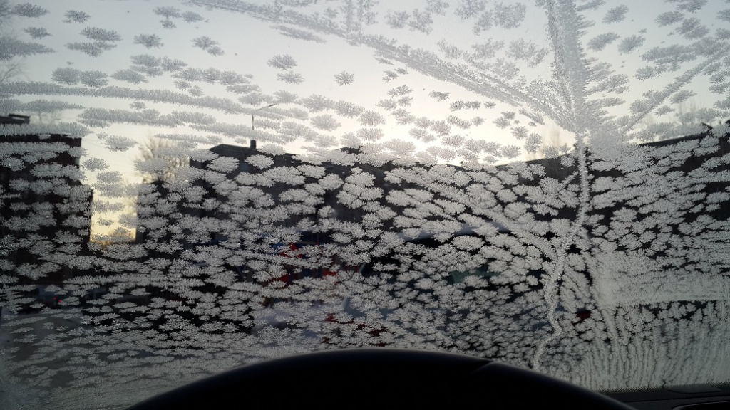 20170302_083429.jpg