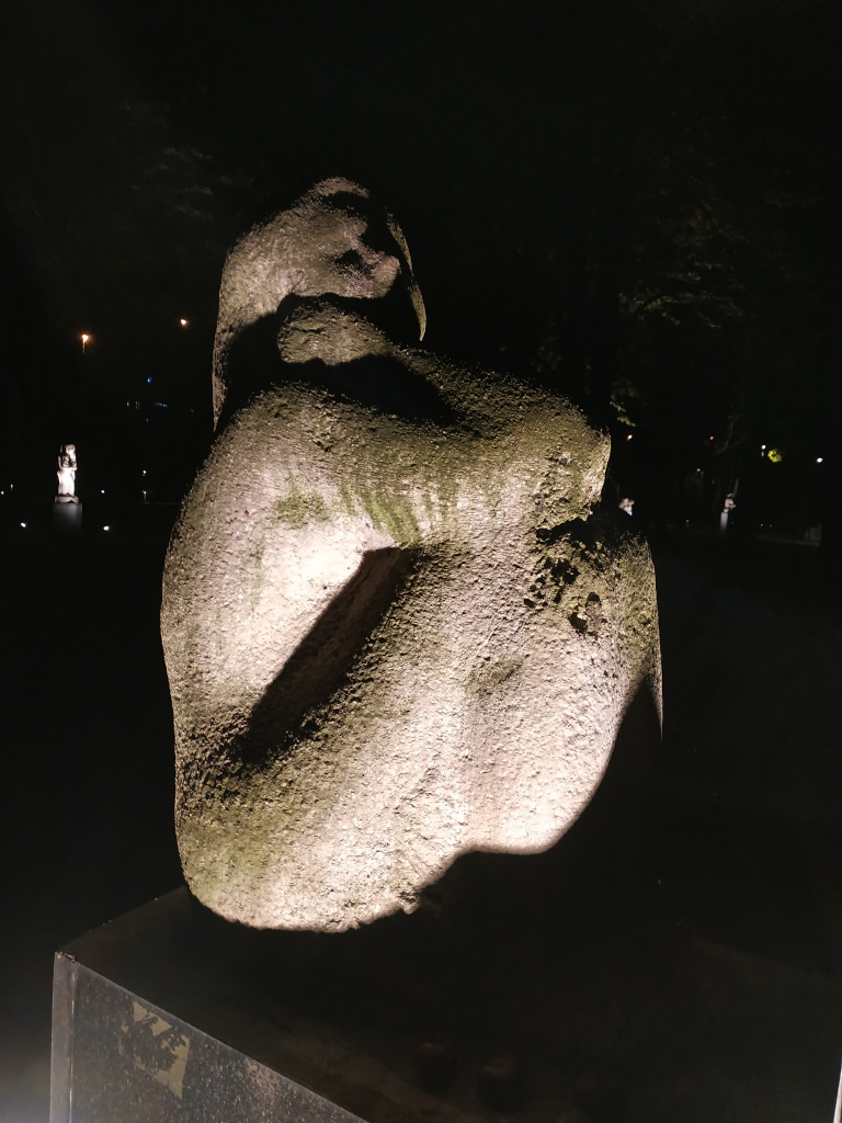 IMG_20211028_224735.jpg