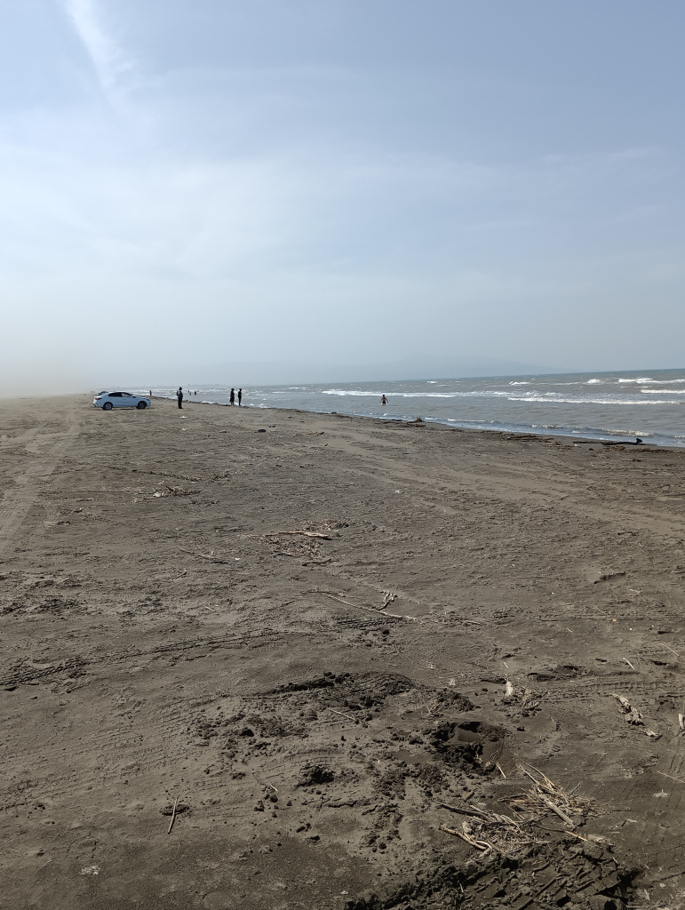 IMG_20230610_142556.jpg