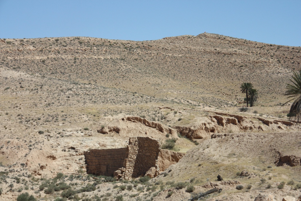 IMG_5146.JPG