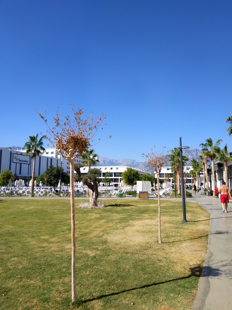 IMG_20241028_123332.jpg