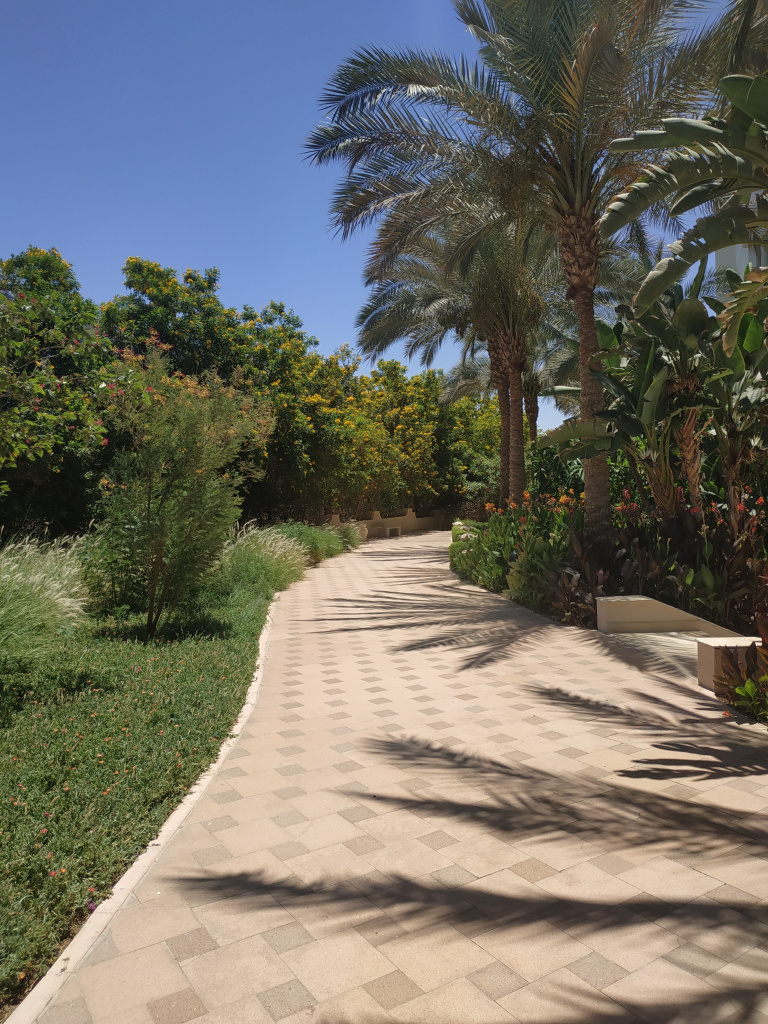 IMG_20210521_122355.jpg