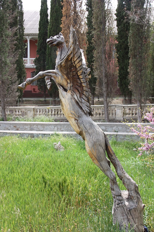 256.JPG