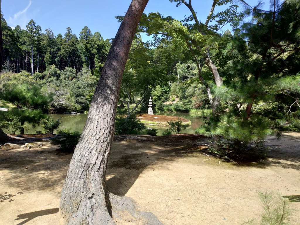 IMG-20180818-WA0071.jpg IMG-20180818-WA0071.jpg