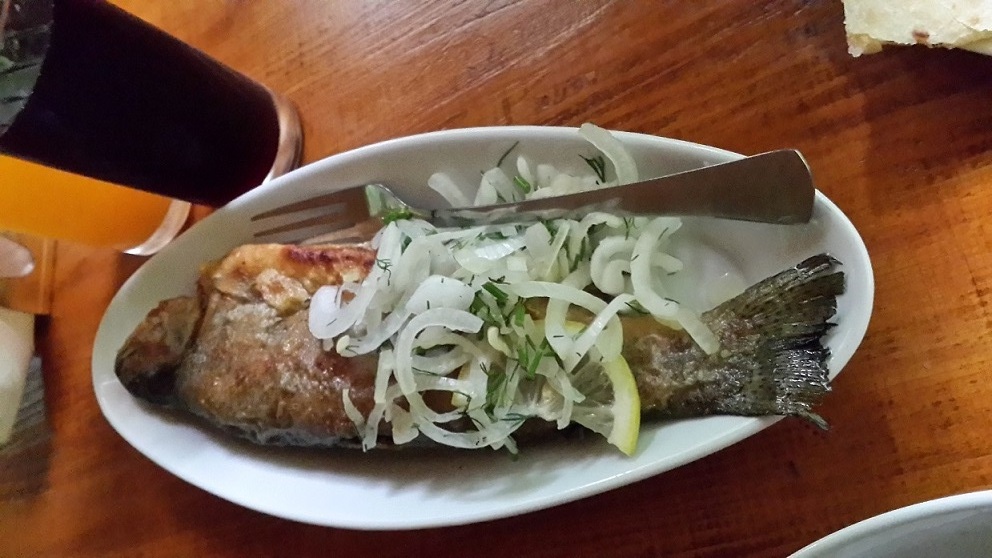 20170519_121411.jpg
