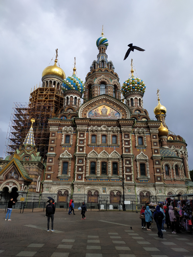 IMG_20220904_115647.jpg