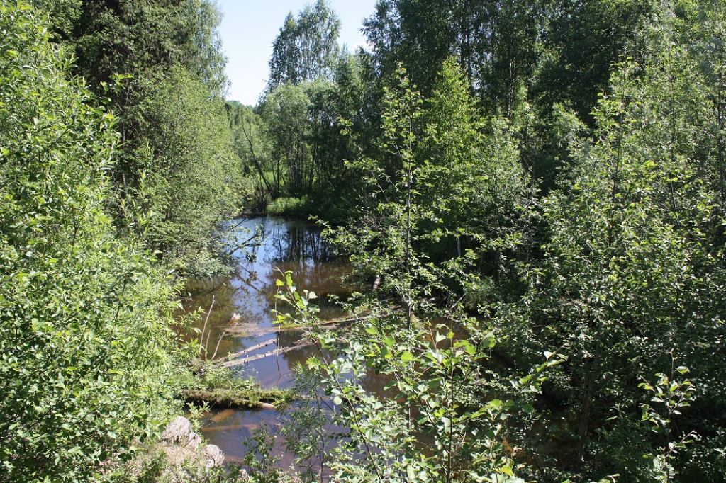 речка.jpg