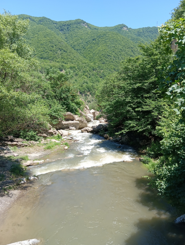IMG_20230610_122456.jpg