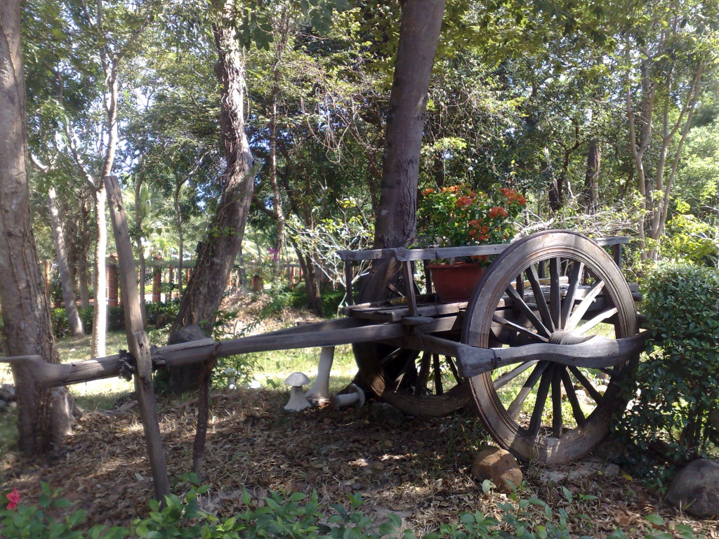 080220123421.jpg
