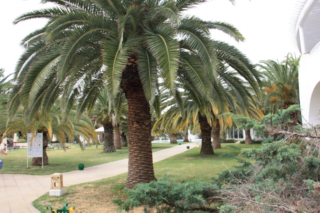 IMG_3866.JPG