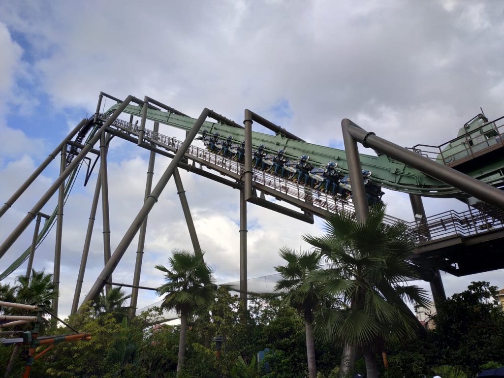 IMG-20180821-WA0044.jpg IMG-20180821-WA0044.jpg