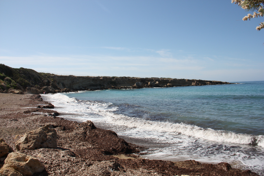 IMG_0086.JPG