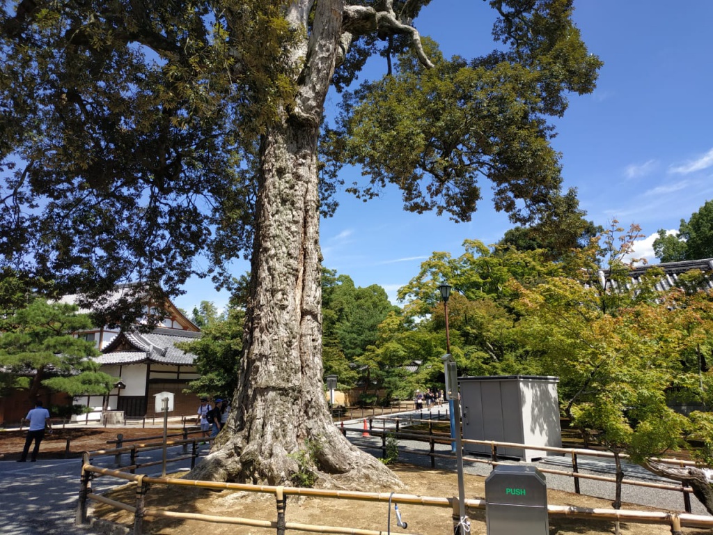 IMG-20180818-WA0094.jpg IMG-20180818-WA0094.jpg