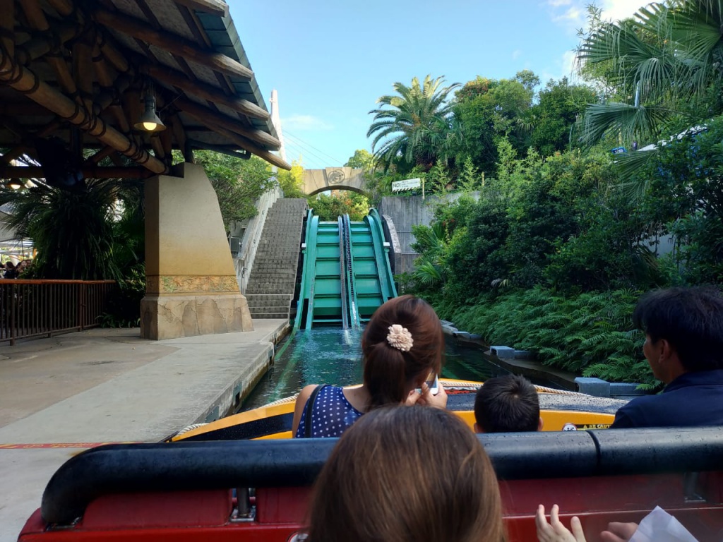IMG-20180821-WA0151.jpg IMG-20180821-WA0151.jpg