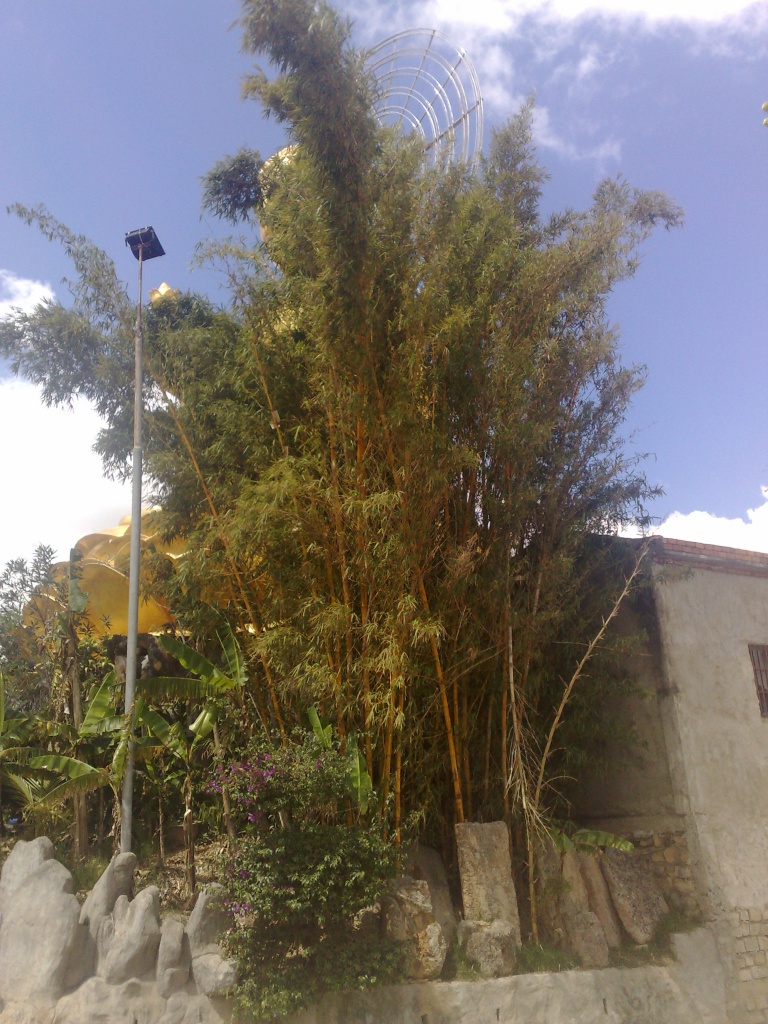 120220123631.jpg