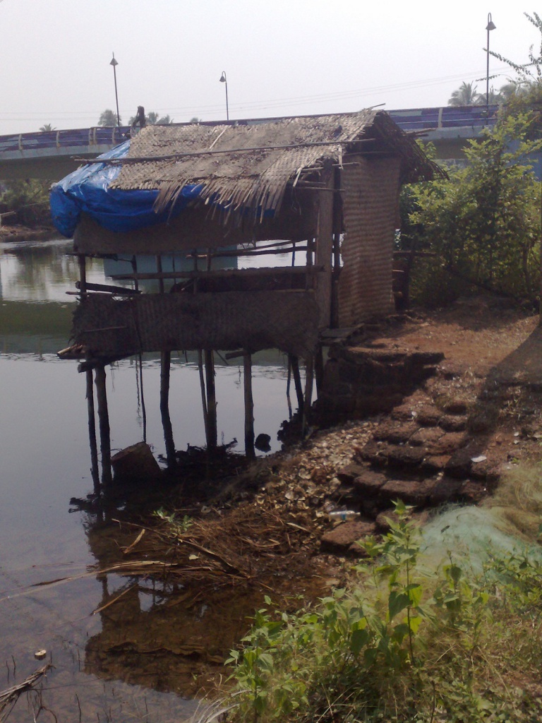2009-10-22_13-40-48_22102009859.jpg