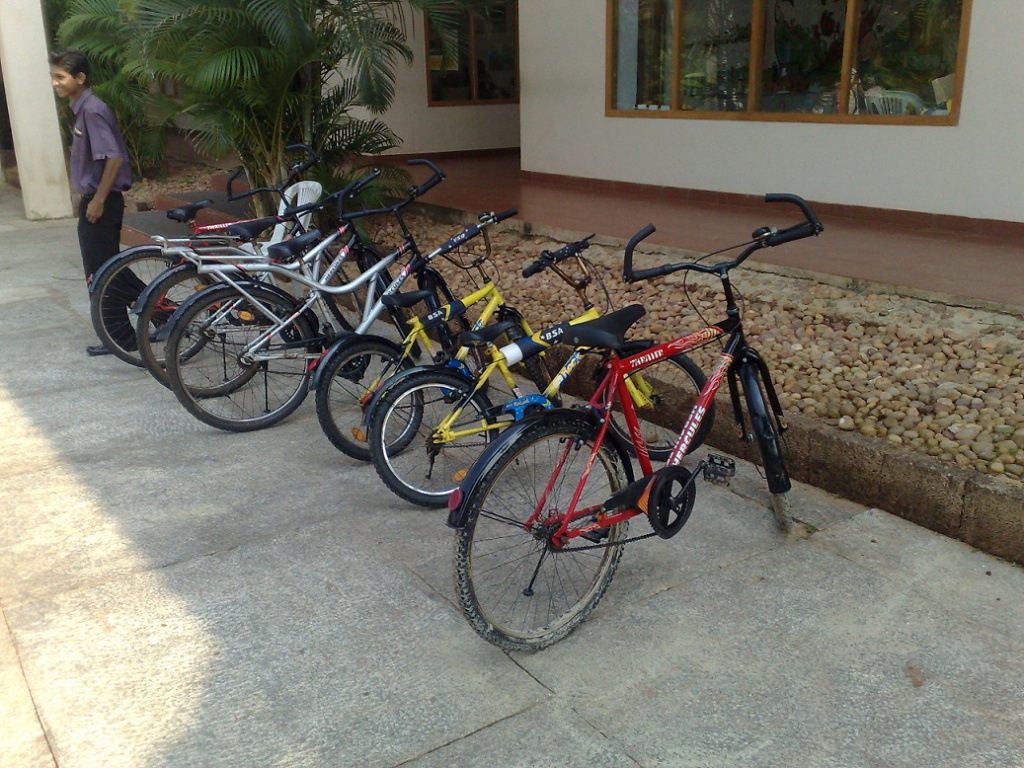 2009-10-18_14-36-58_18102009836.jpg