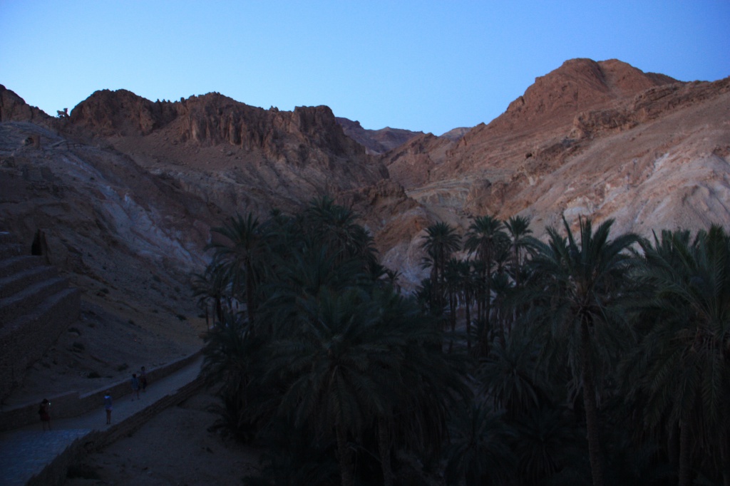 IMG_5033.JPG